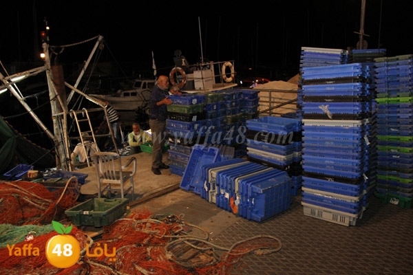 fishes in jaffa 0107 (4).JPG